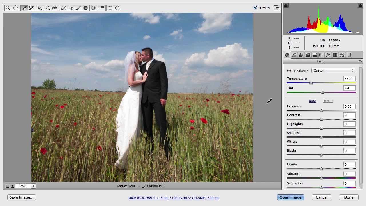 Using the Tools in Adobe Camera RAW