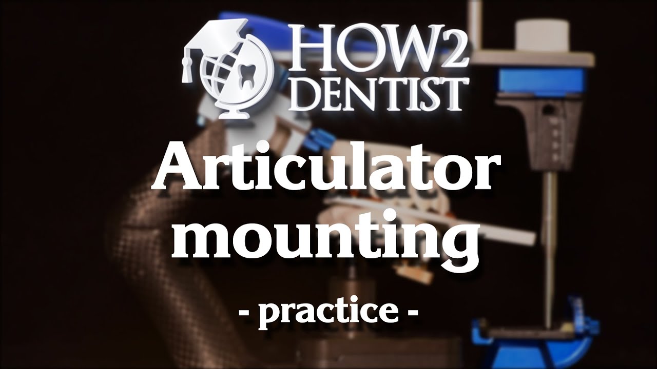 How to work with face-bow and articulator? / How to Dentist