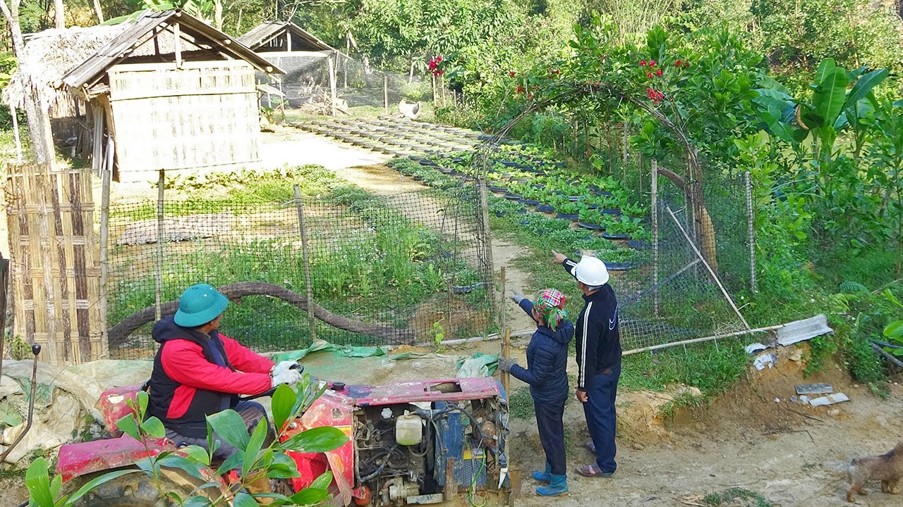 Life become better after single mother Nhinh return to the arms of a kind CEO, new garden