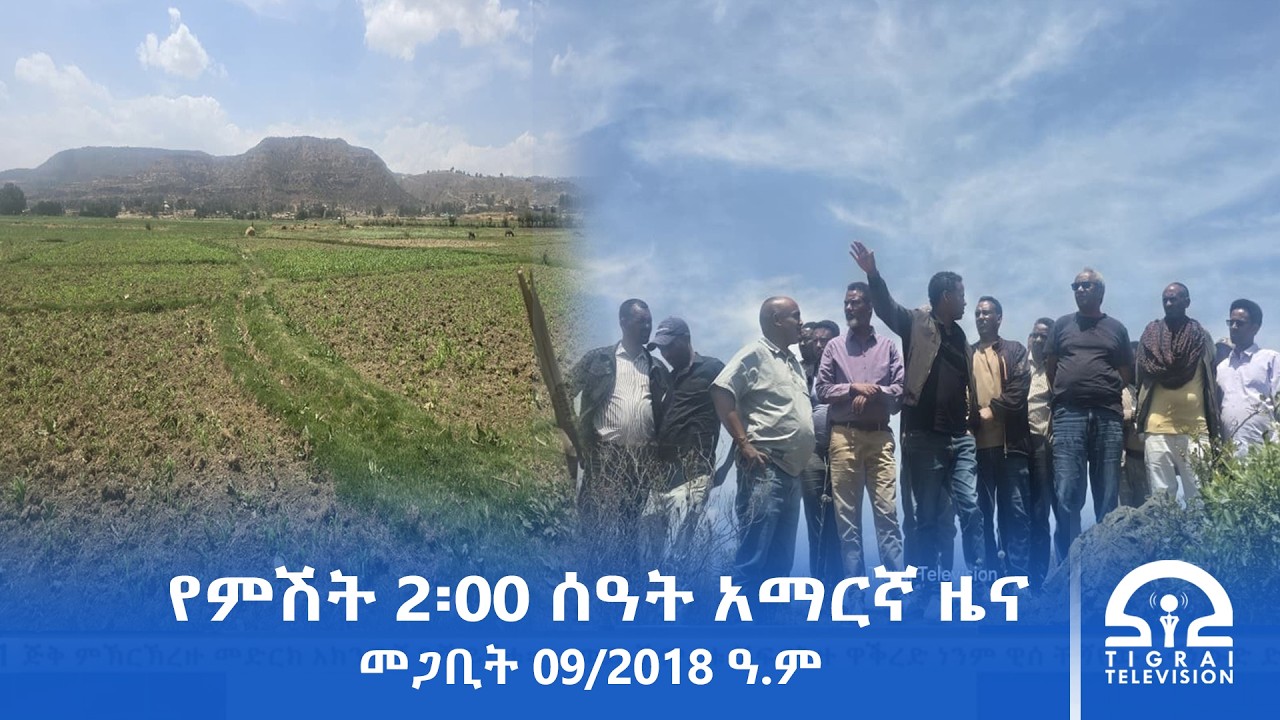 የምሽት 2፡00 ሰዓት አማርኛ ዜና | መጋቢት 09/2018 ዓ.ም | #Tigrai_Television | #ቴሌቪዥን_ትግራይ