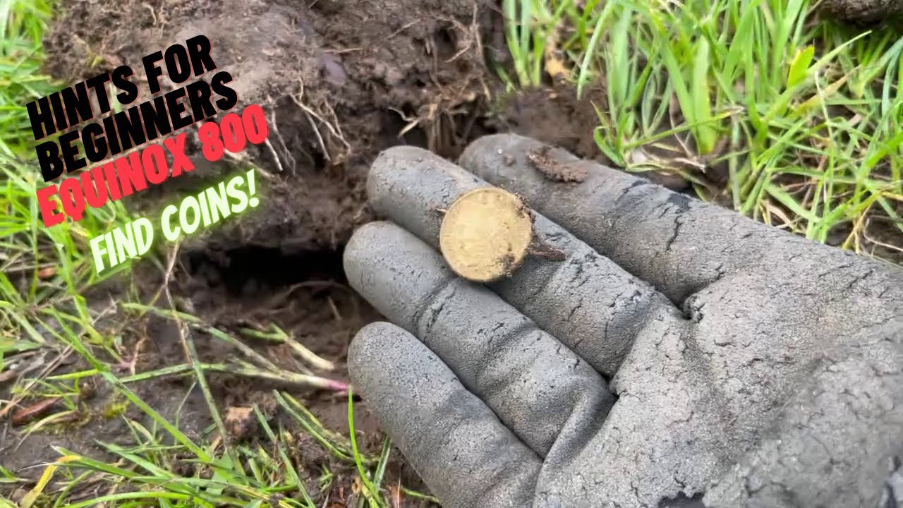 Металлоискатель для начинающих — Minelab Equinox 800 — поиск монет в парке!