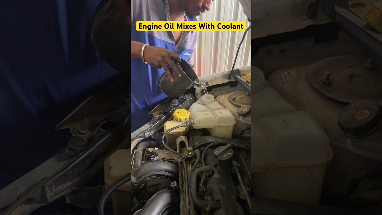 Ford Figo Engine Oil Mixes With Coolant #fordfigo #shorts