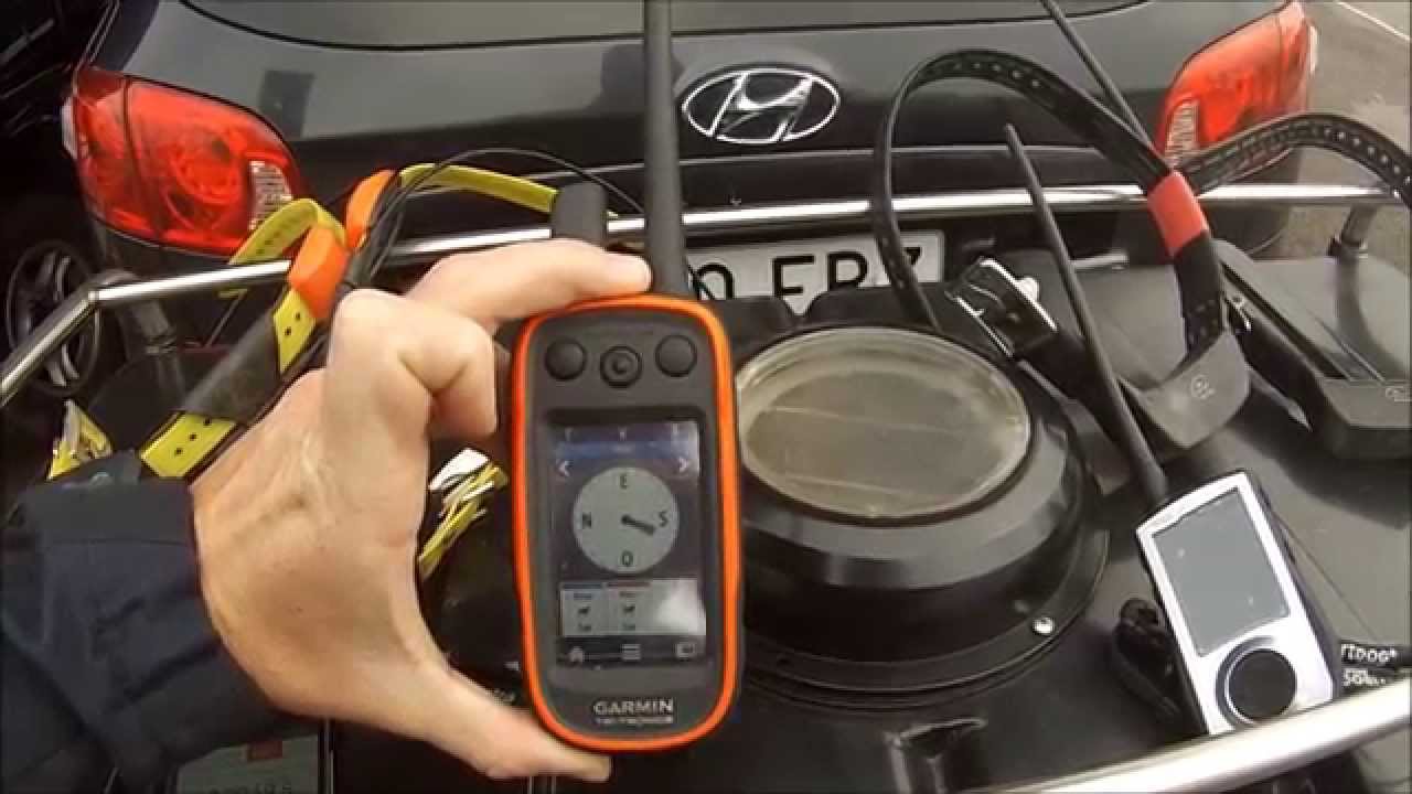 COMPARATIVA GPS : GARMIN ALPHA 100 vs SPORDOG TEK 1.0