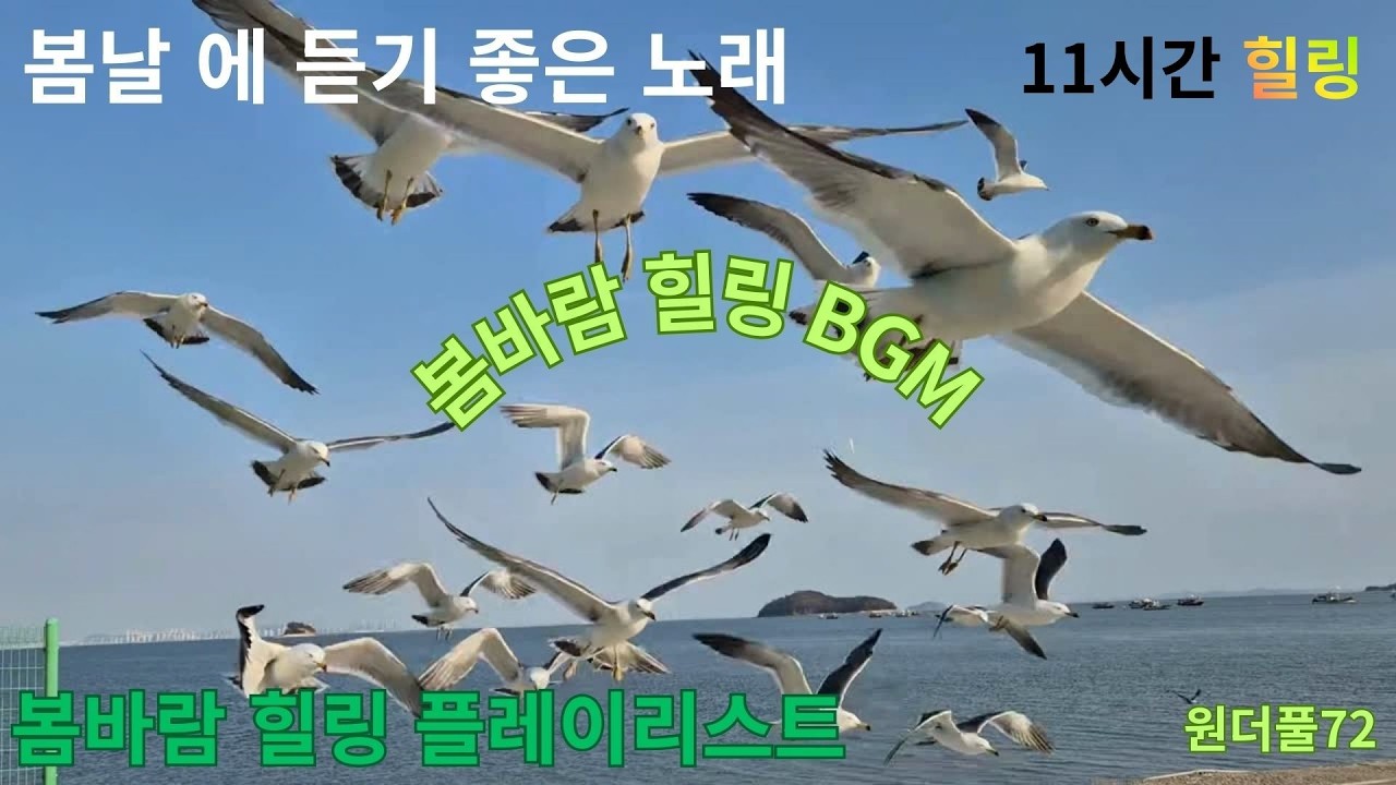 봄날에 듣기 좋은 힐링 음악따뜻한 봄 카페 음악마음이 편해지는 봄 플레이리스트