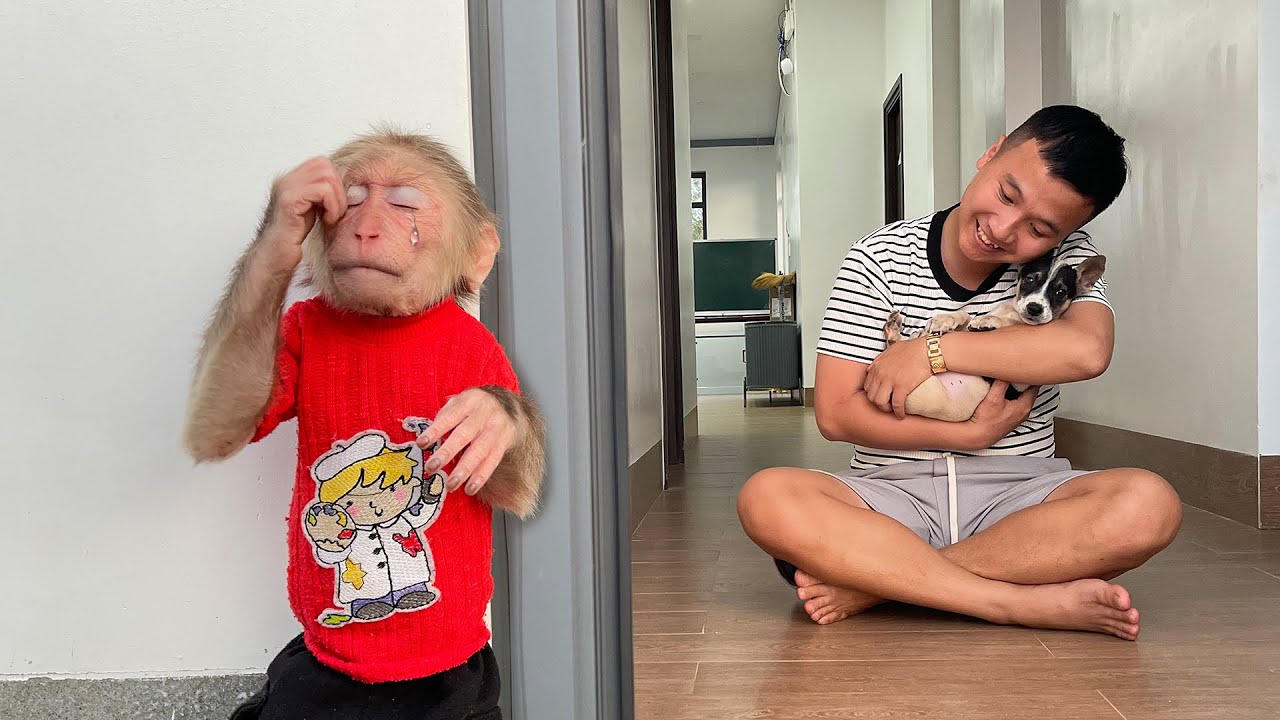 Jealous Cubis vs. Lucky! Who’s Dad’s Favorite?