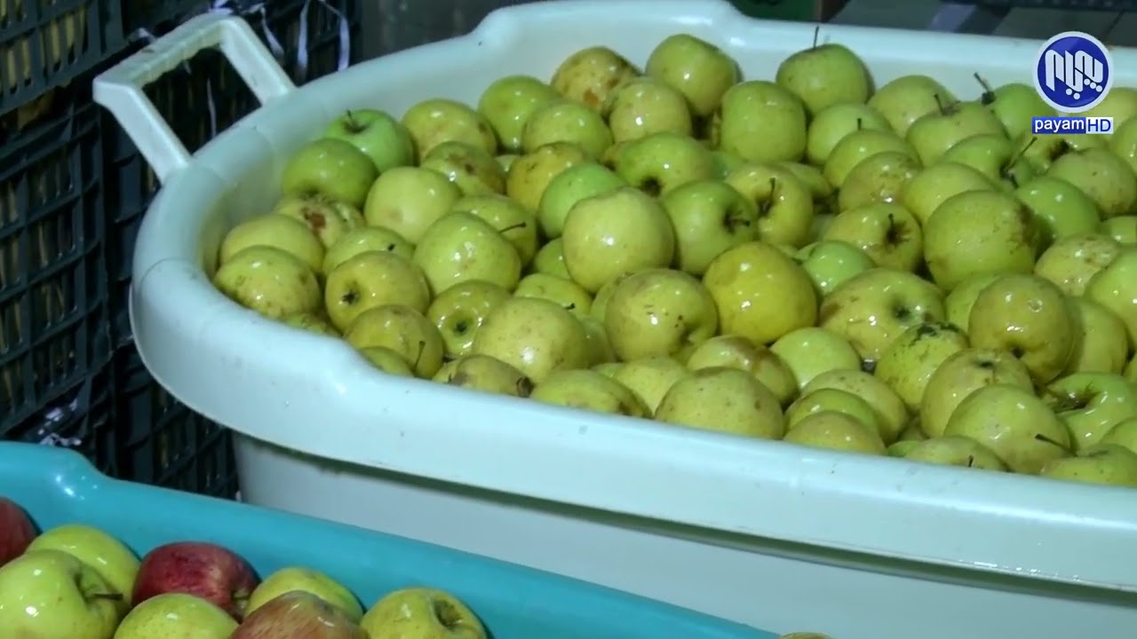 وردەکاری بەرهەمهێنانی سرکەی سێوی سروشتی