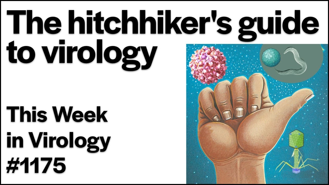 TWiV 1175: A hitchhiker's guide to virology