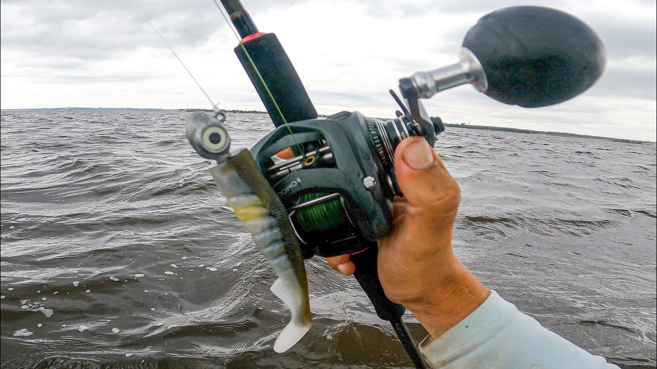 Big Fish On The Hunt!! (Swimbait Fishing)