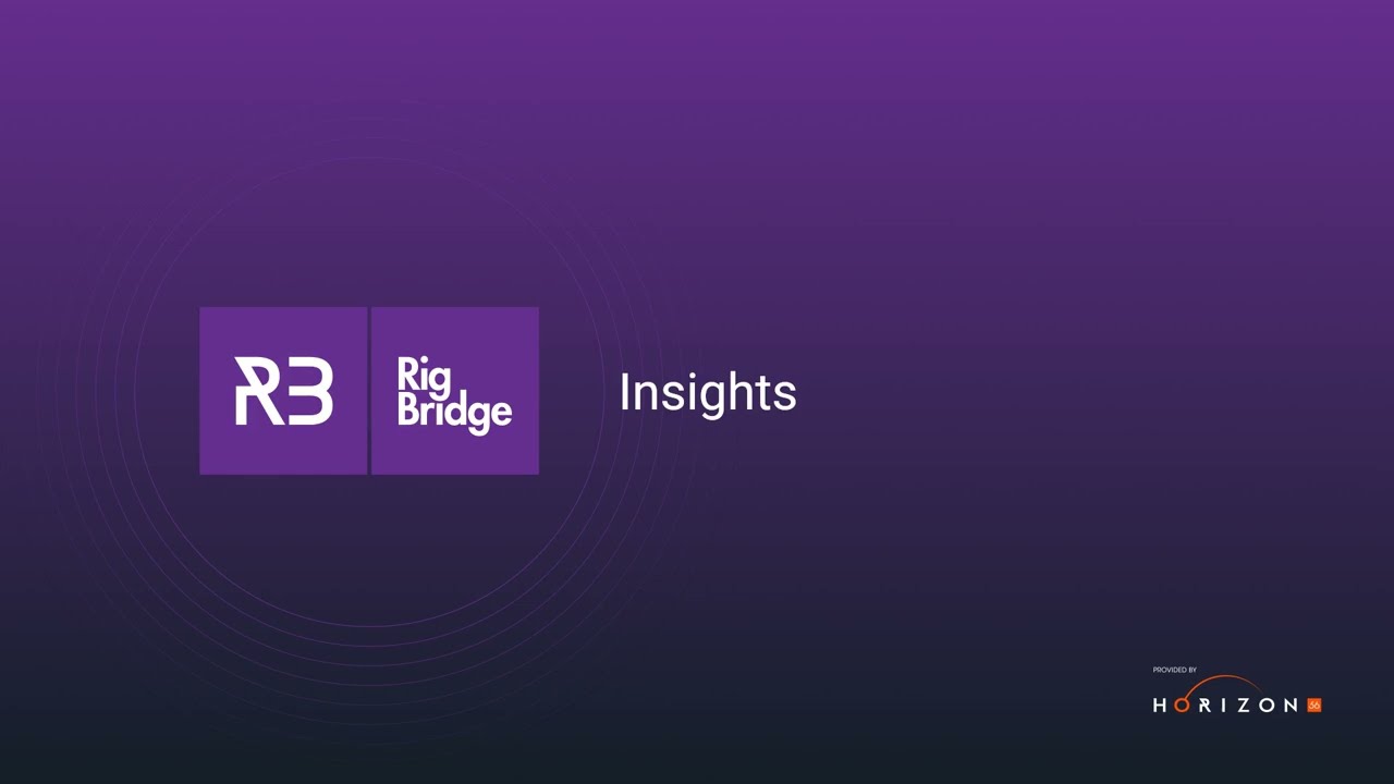 RigBridge 4 - Insights