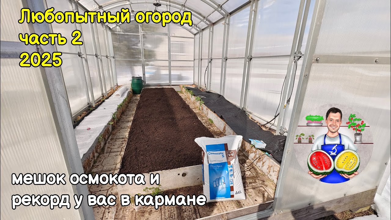 Любопытный огород часть 2 (2025)