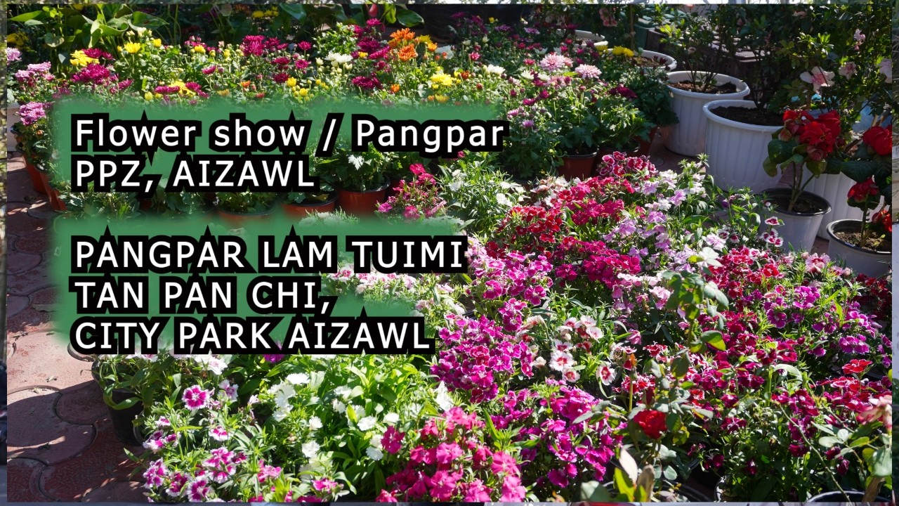FLOWER SHOW / PANGPAR LAM TUIMI TAN KAL NGEI NGEI CHI. PPZA