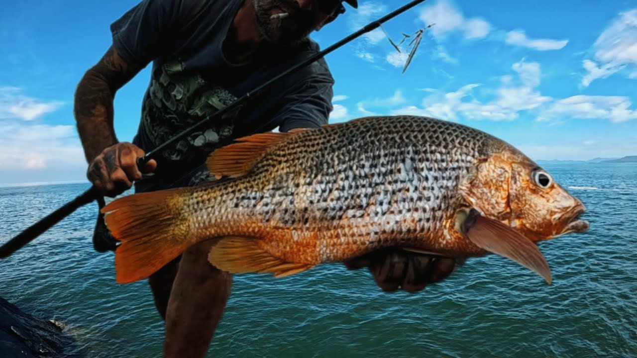 Jig Fishing for SNAPPER in South Asia 