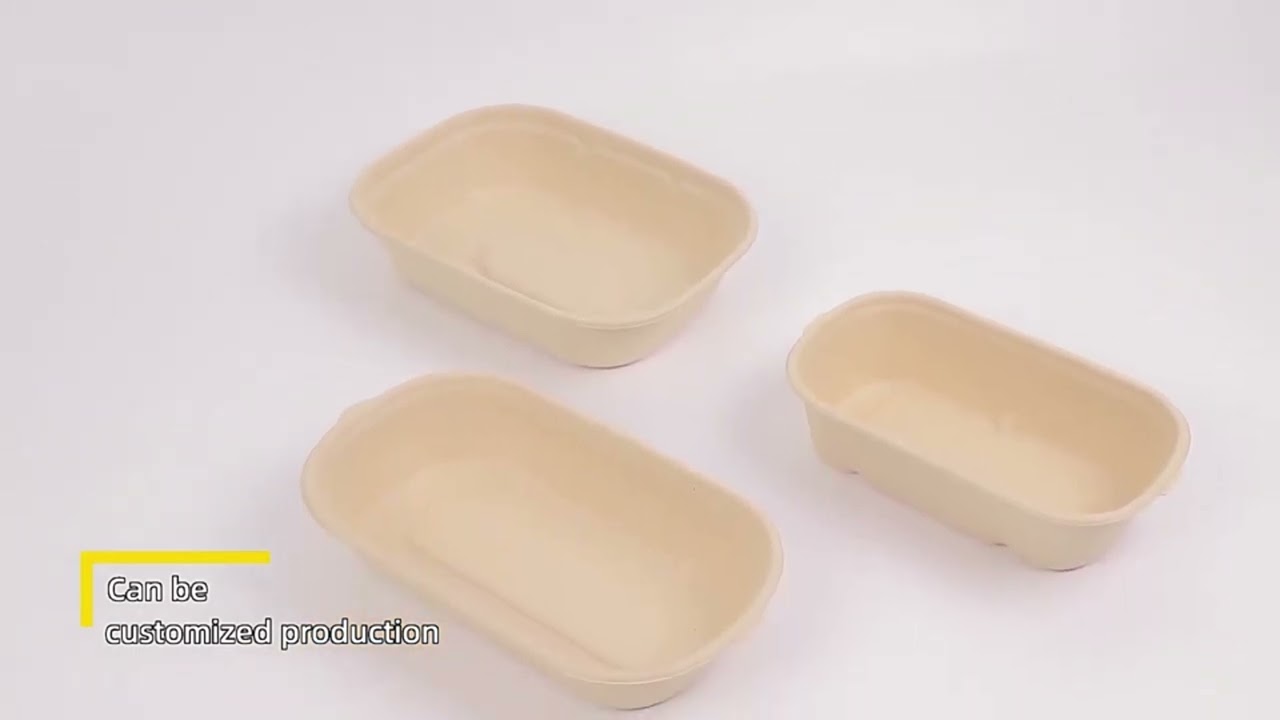 900 ml Salad bowl with Lid #ecofriendlypackaging #compostablepackaging