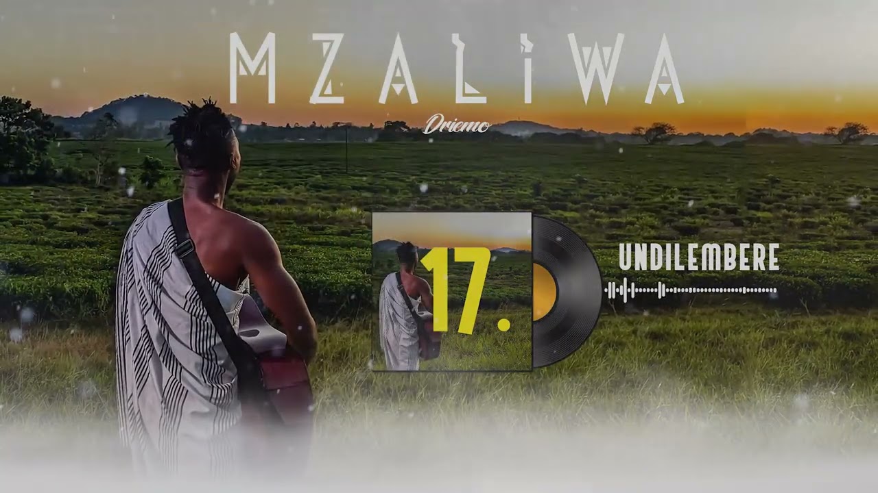 DRIEMO - UNDILEMBERE (Official audio visualizer)#Mzaliwa #malawi #afrobeat