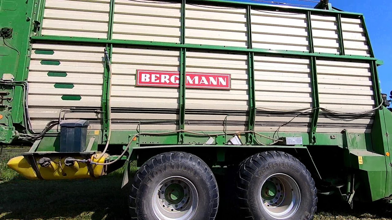 Bergmann Royal Largo 28 s