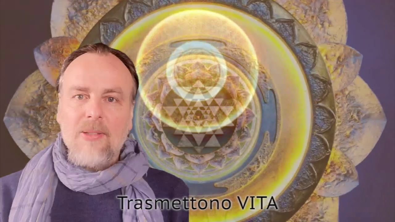 5 anni di Meditation Art