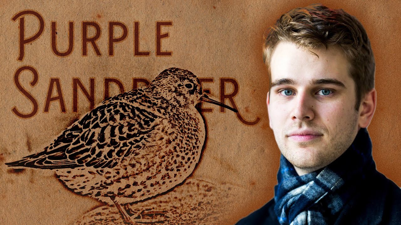 Ornithology Weekly | Episode 4 - 