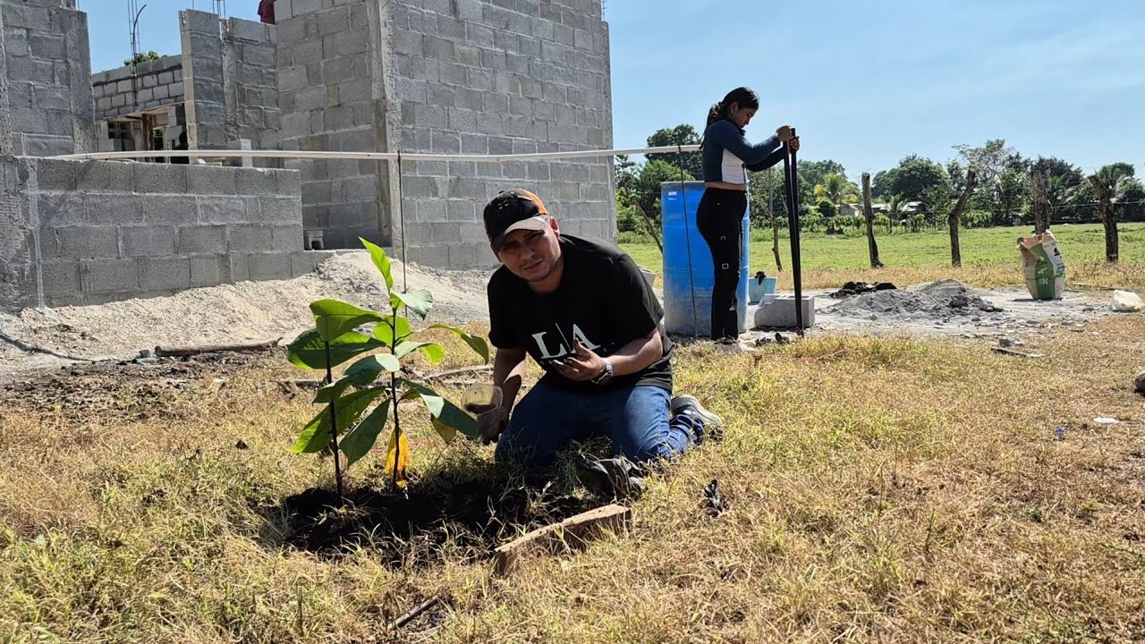 Llegó el gran día sembrando arbolitos y más atrás de la casa que les parece ⁉️🏠