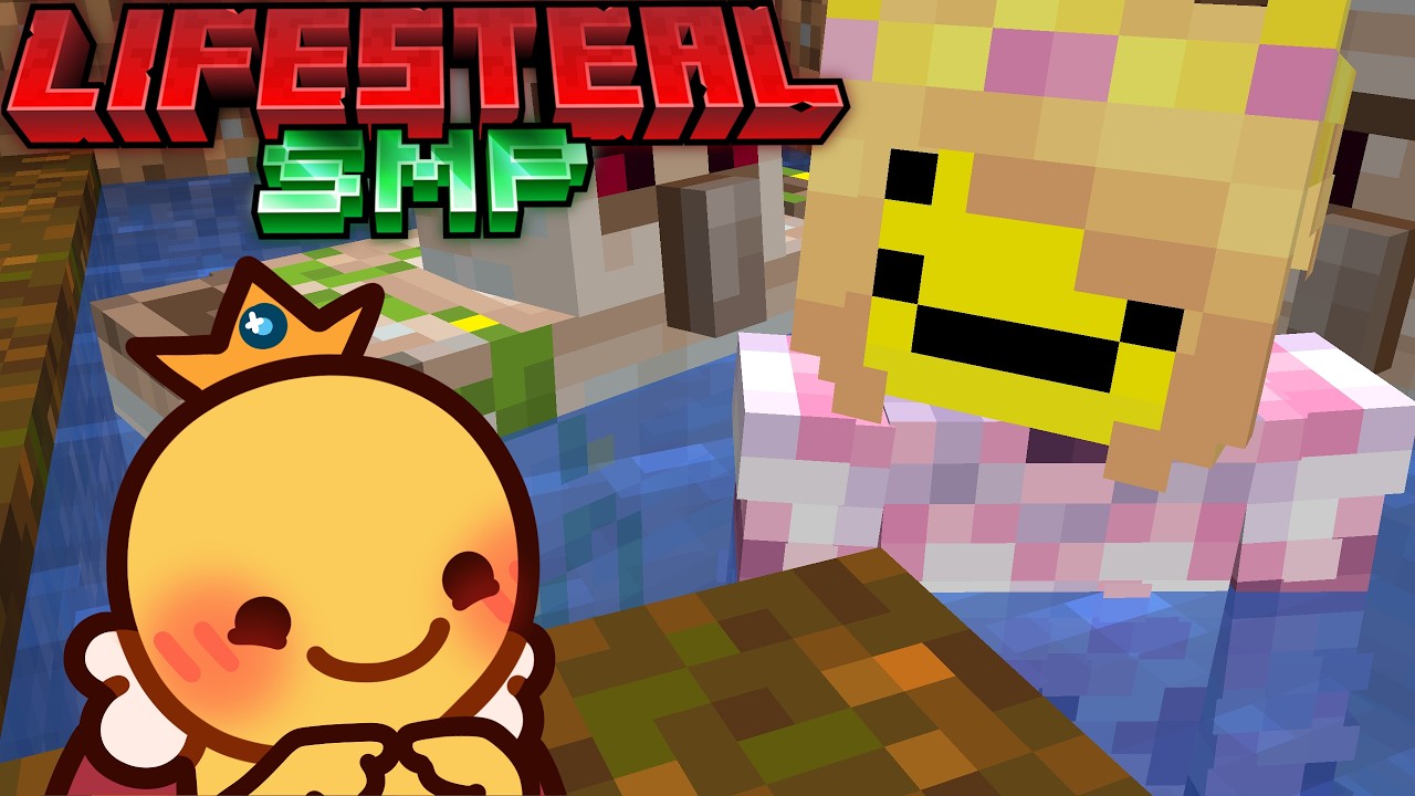 ❤️&zwj;🔥 Lifesteal SMP: 👑 24 Hours On Lifesteal... PART 3 👑