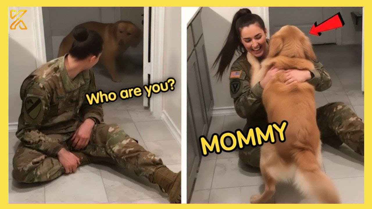 💞 Most Heartwarming Animals Reunion with Their Owners 🐾 That Will Warm Your Heart 💕