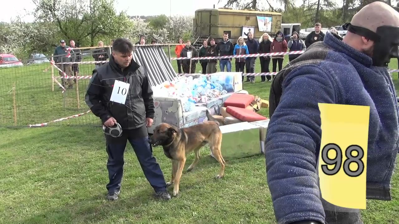 Saharské ringo 3- likvidace výtržnosti