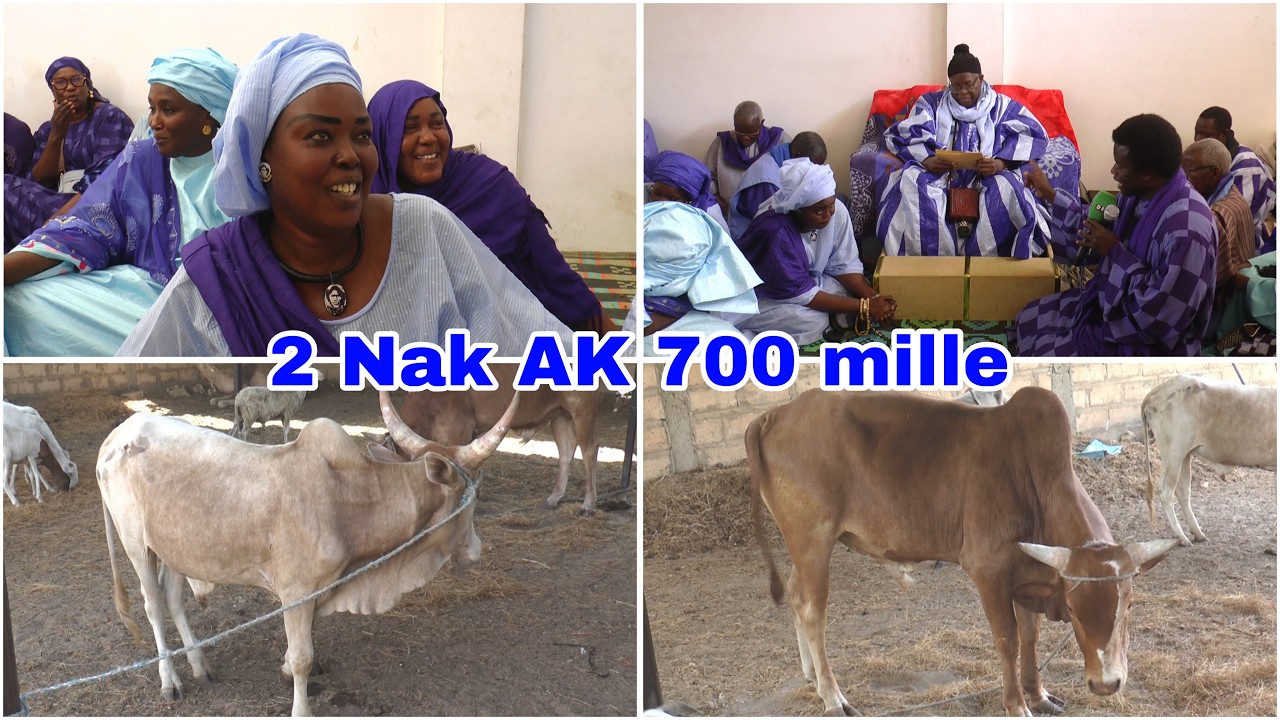 Ziar Sokhna Thiouba Fall & sa Fondation auprès de Serigne fallou ibn S Modou AmintaFall (2 bœuf....)