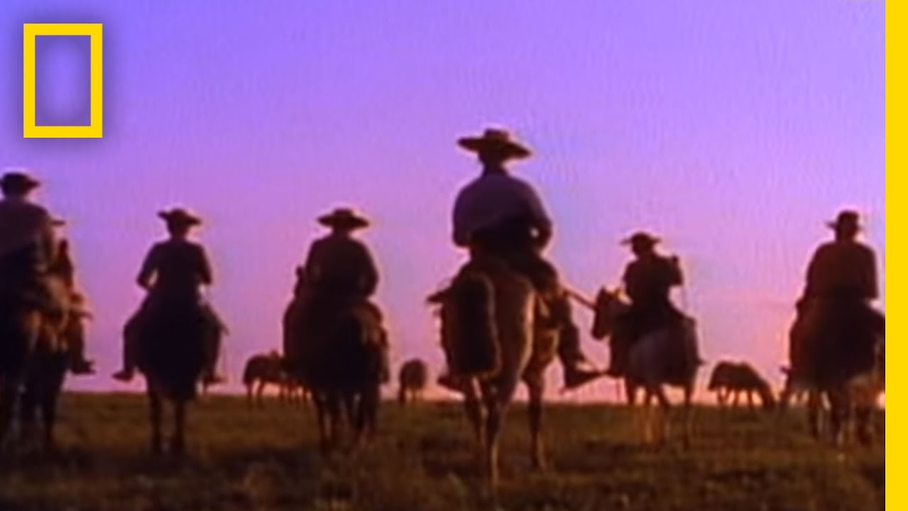 The Way of the Gaucho | National Geographic