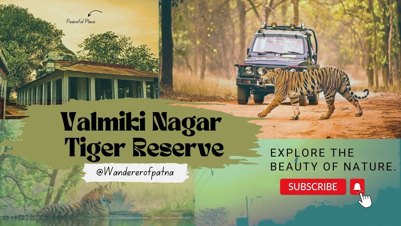 My First Vlog || Patna to Valmiki Tiger Reserve || Road Trip ||Jeep Safari || Bihar Tourism ||