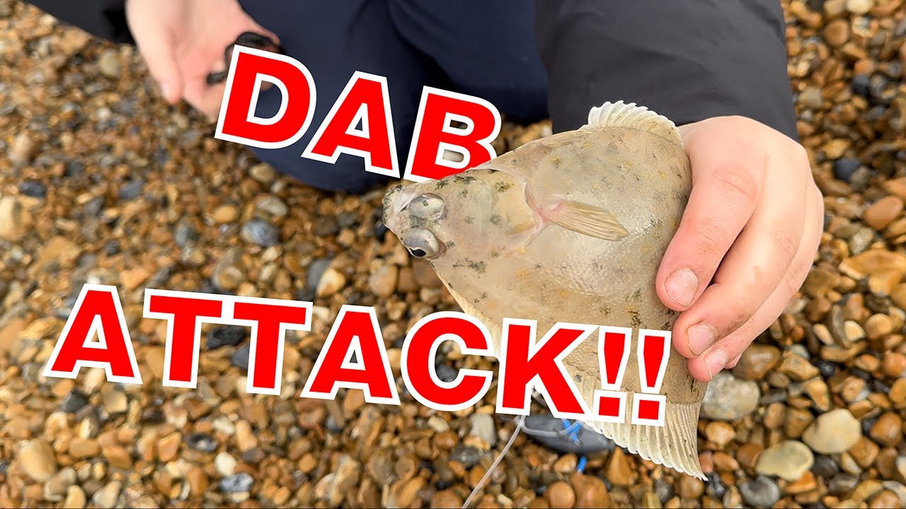 Fishing in Hythe