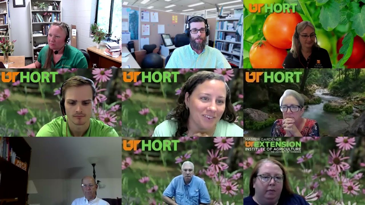July 2024 Friday Office Hours in Horticulture- Landscapes