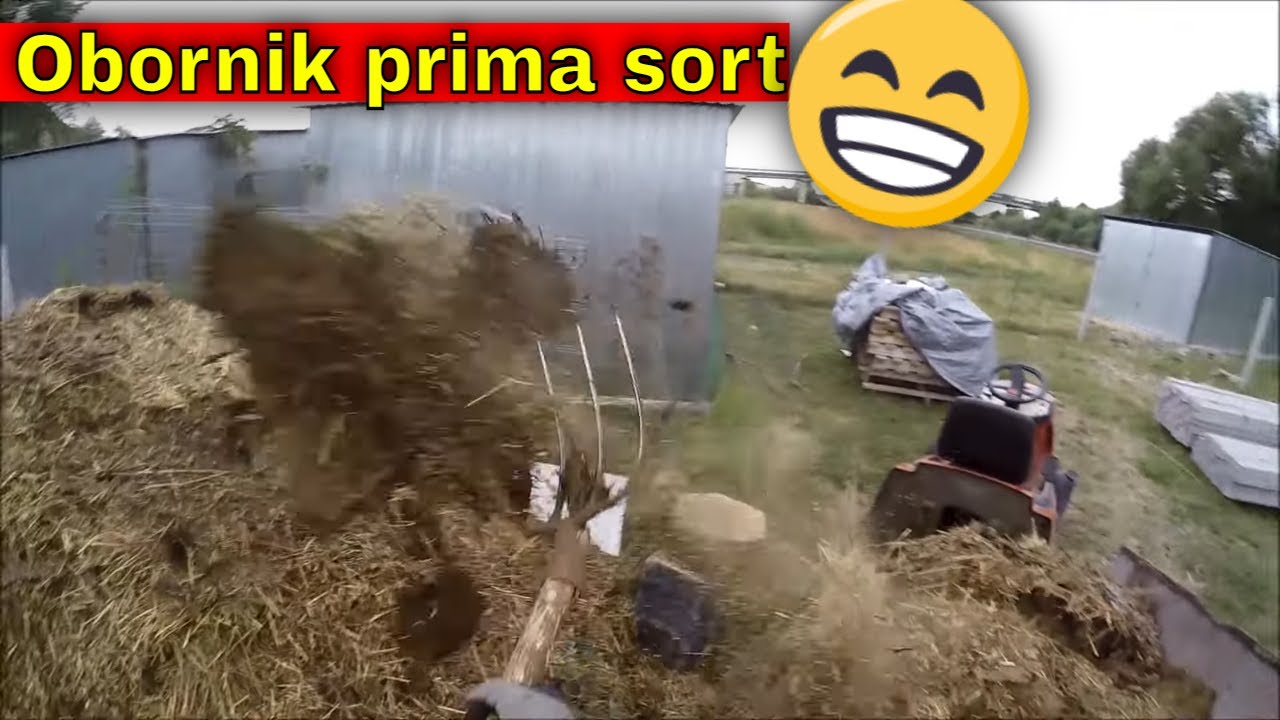 Produkcja najlepszego nawozu pod warzywa. Kozi Obornik!