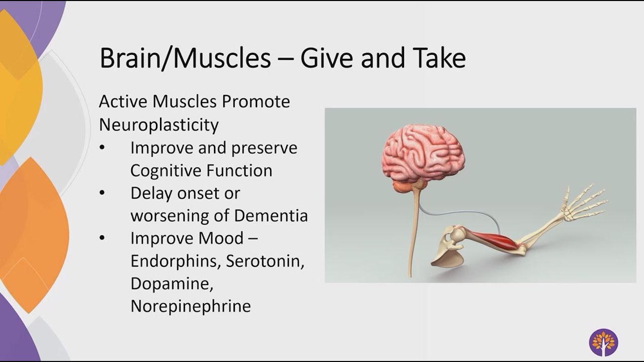 EmpowerU: How Exercise Can Improve Our Brain Health Presentation