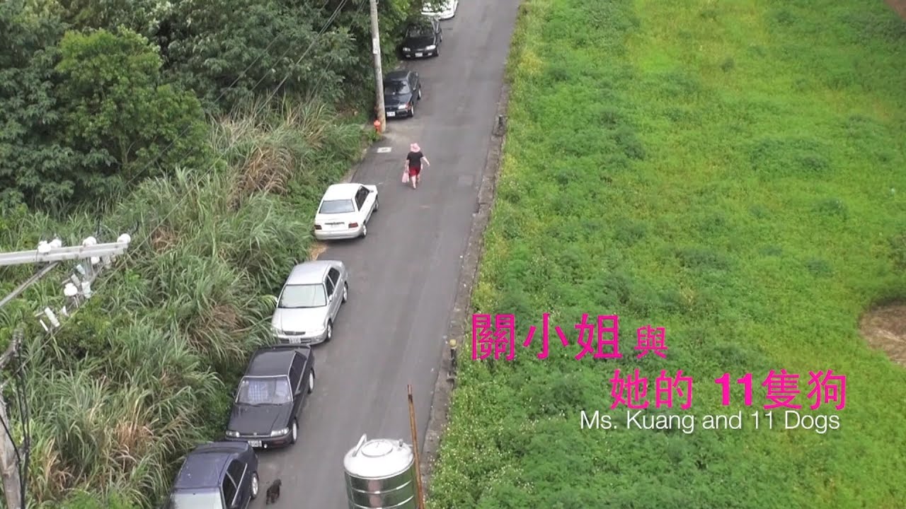 李孟真 - 首部紀錄片 [關小姐與她的11隻狗]