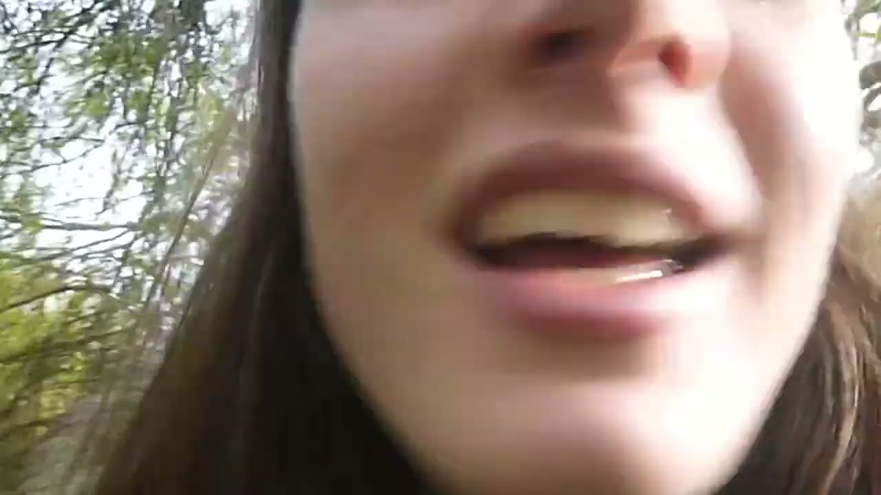 Sophia Stel - Object Permanence (Radio Edit) - Full Length Nature Walk - Official Visualizer
