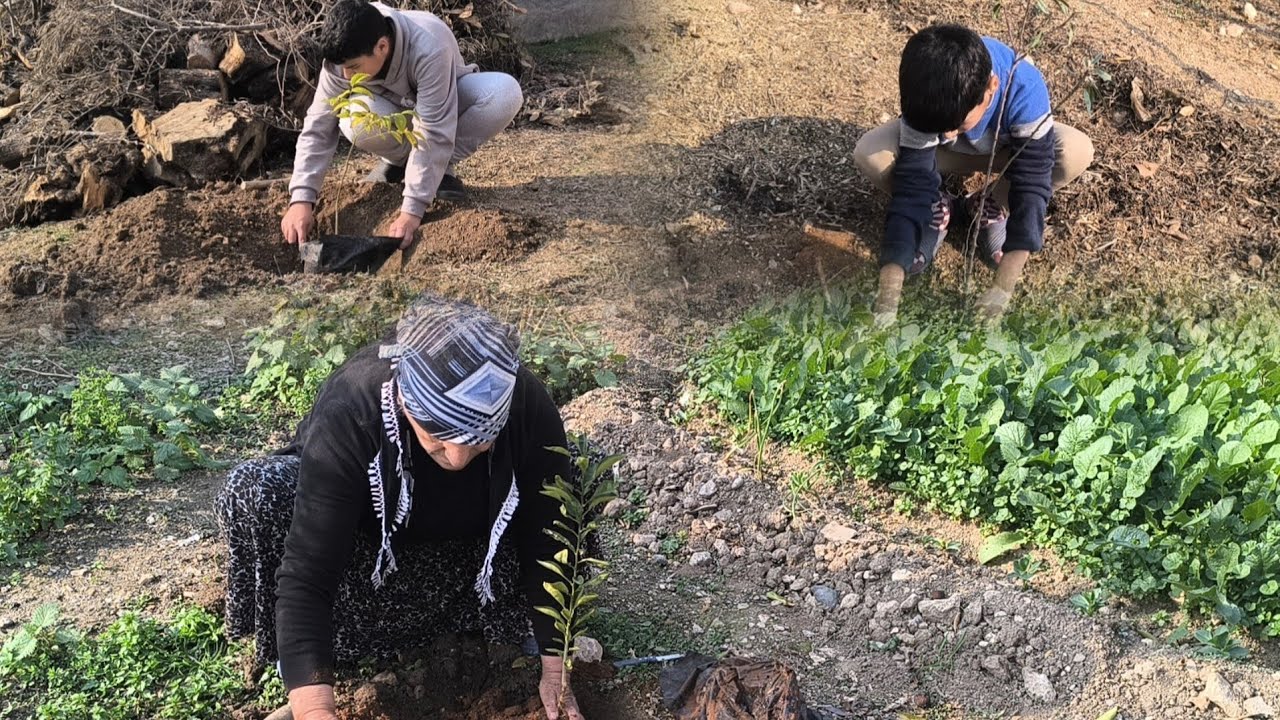 كل واحد لحق يزرع شجرة قبل التلج 🌳🪾🍀بالحب بدنا نعمرها❤️