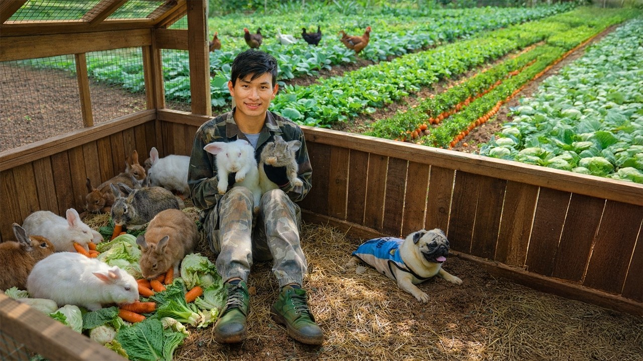 Catch Wild Rabbits And Build A House For Them – Cook With Homegrown Organic Vegetables - Build Farm