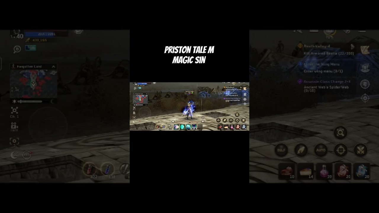 Priston Tale M Magic Assassin