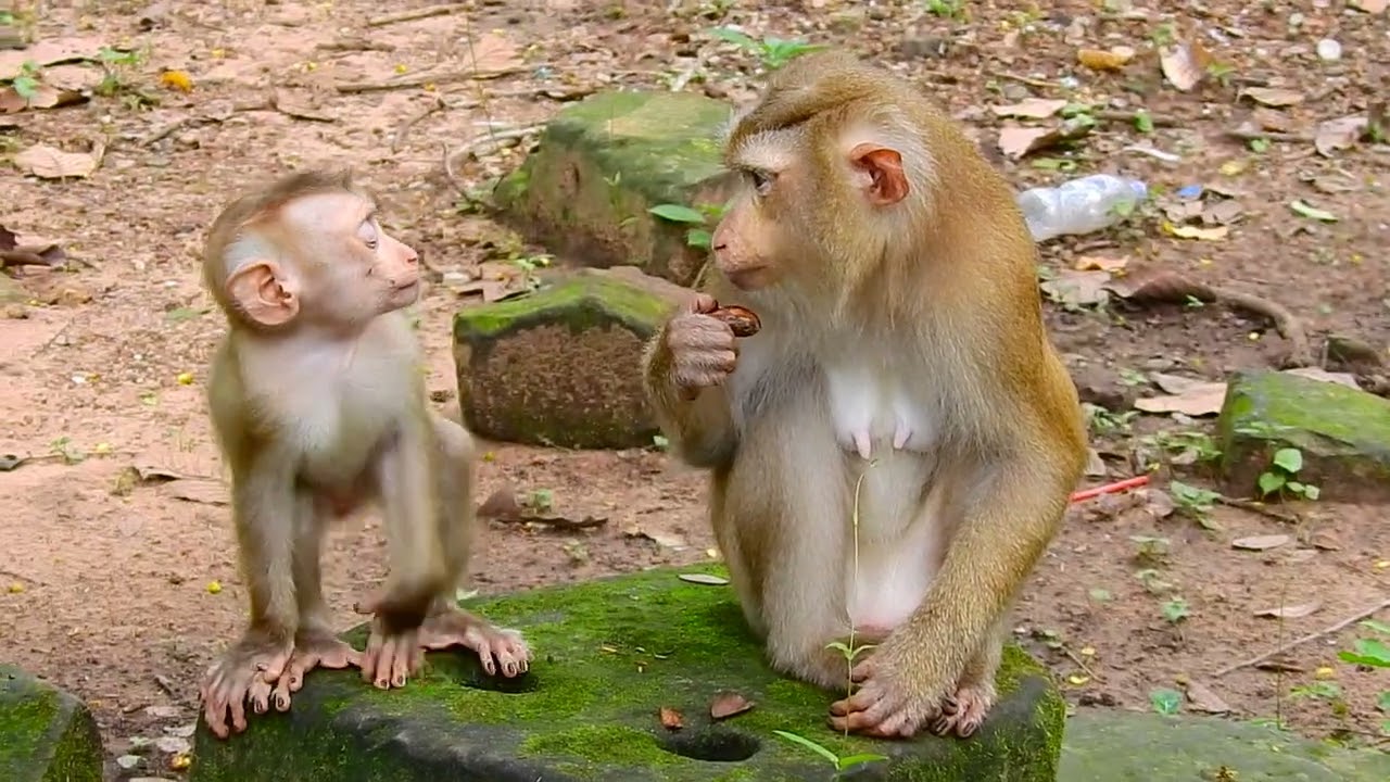 What are they talking about?