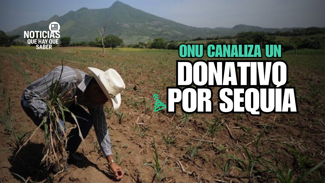 Las Noticias que debes saber 190326