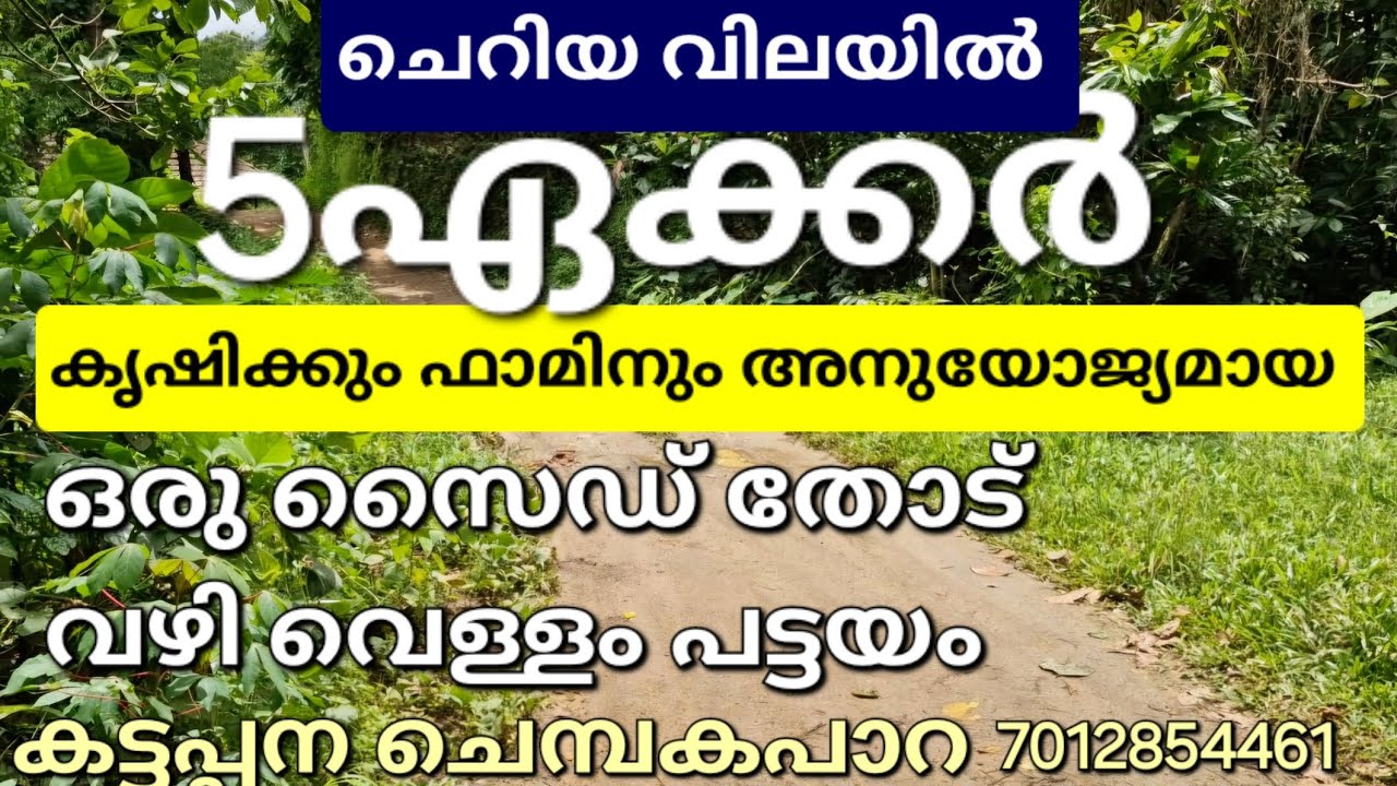 ചെറിയ വിലയ്ക്ക് 5ഏക്കറും ഓട്മേഞ്ഞ വീടും.ഫാമിനും കൃഷിക്കും അനുയോജ്യം. ഒരു സൈഡ് തോട്. കുളം. ചെമ്പകപാറ