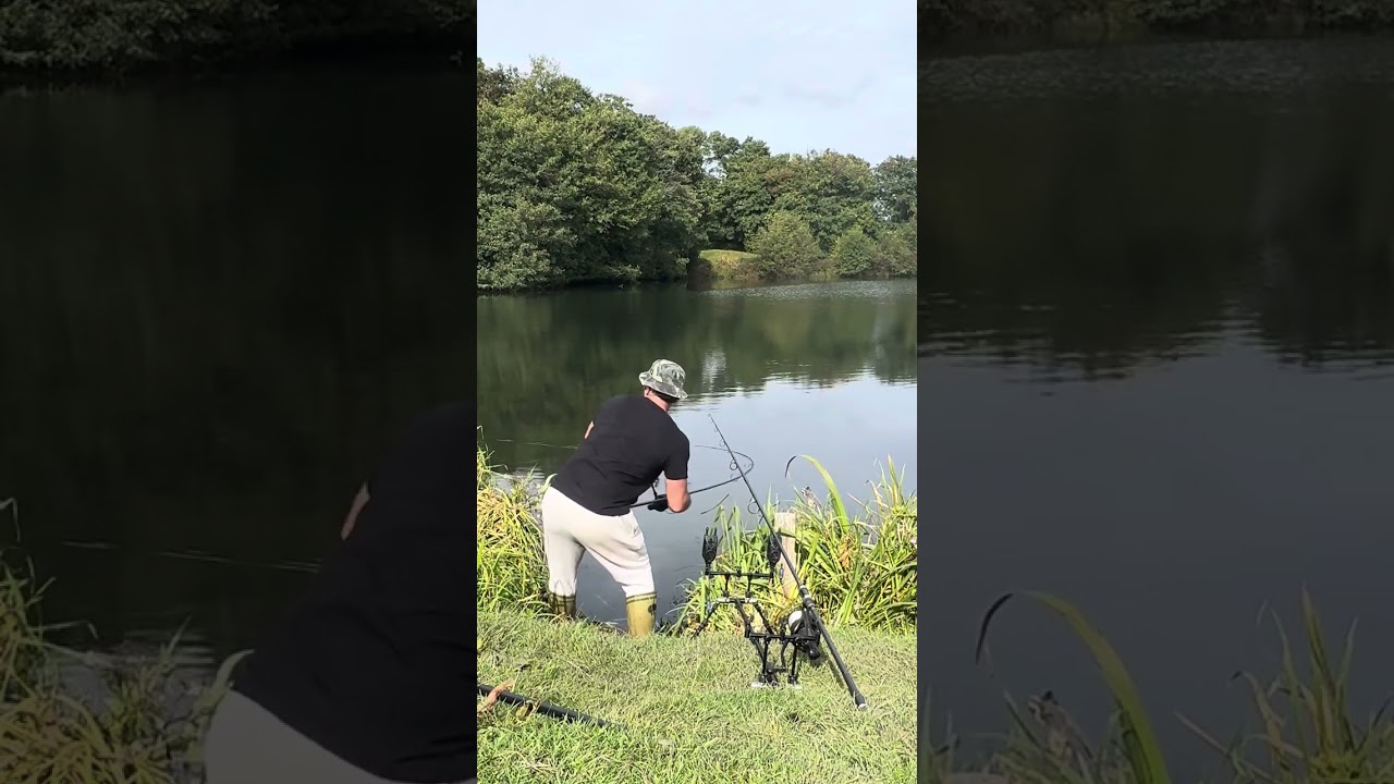 Caerphilly Castle carp fishing with MotBanx.
