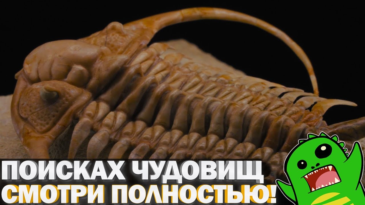 Трейлер сериала «По следам монстров»