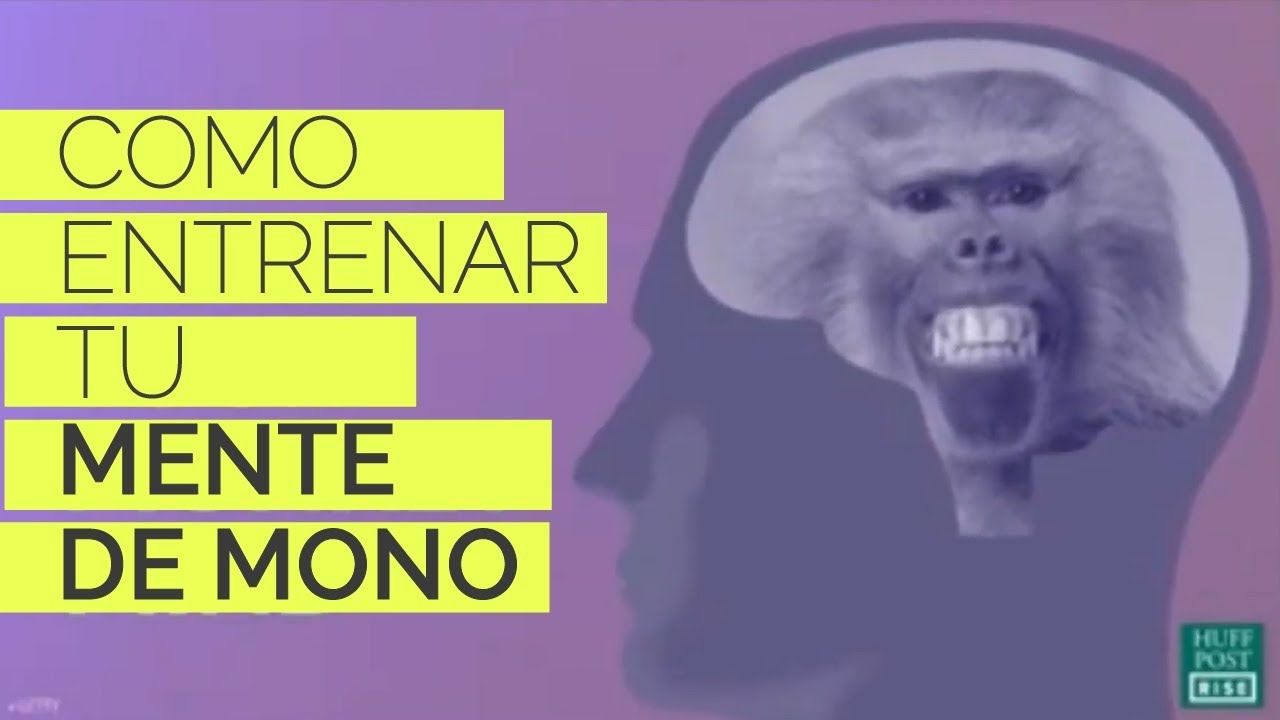 C&oacute;mo entrenar tu mente de mono - Mingyur Rinpoche (Doblaje espa&ntilde;ol)