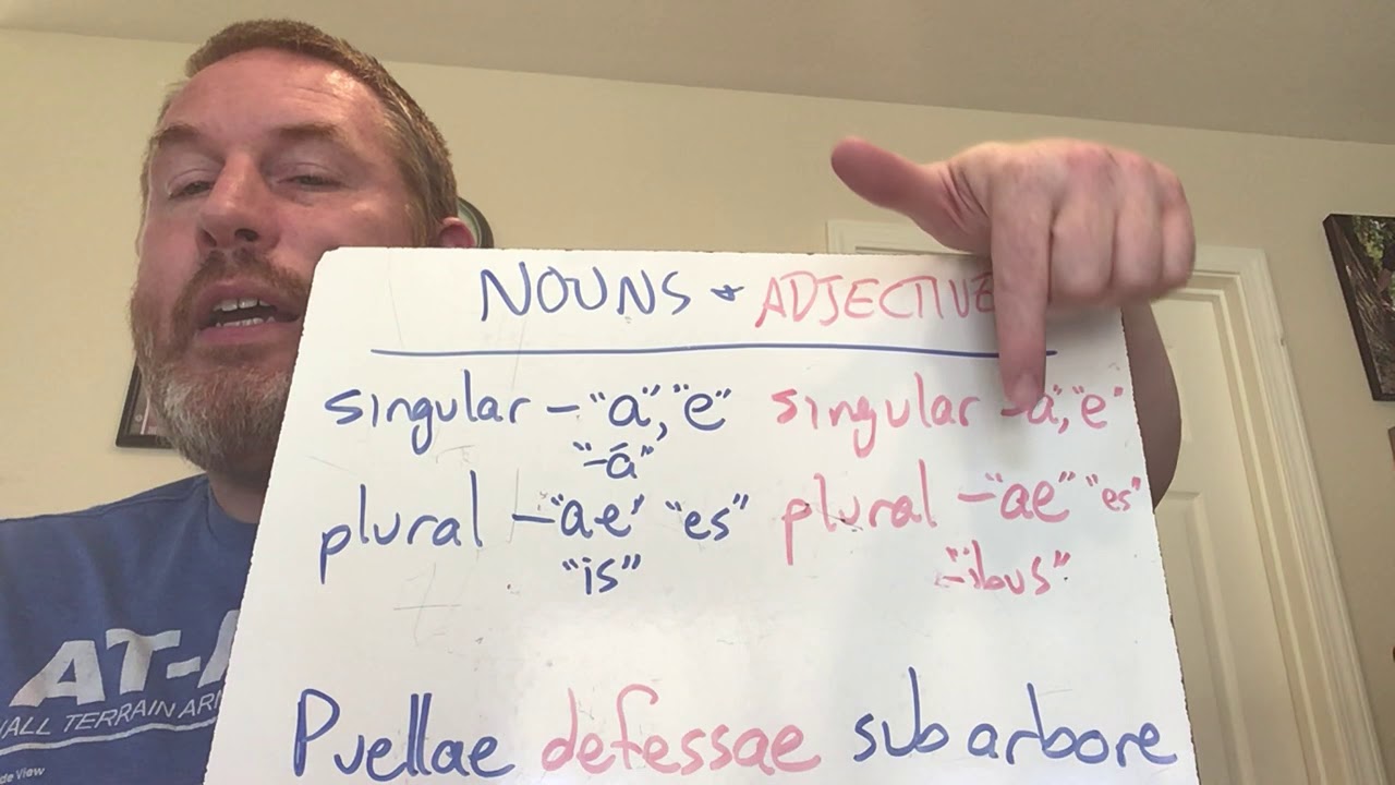 Latin 1 - Chapter 2 - Grammar Singular and Plural