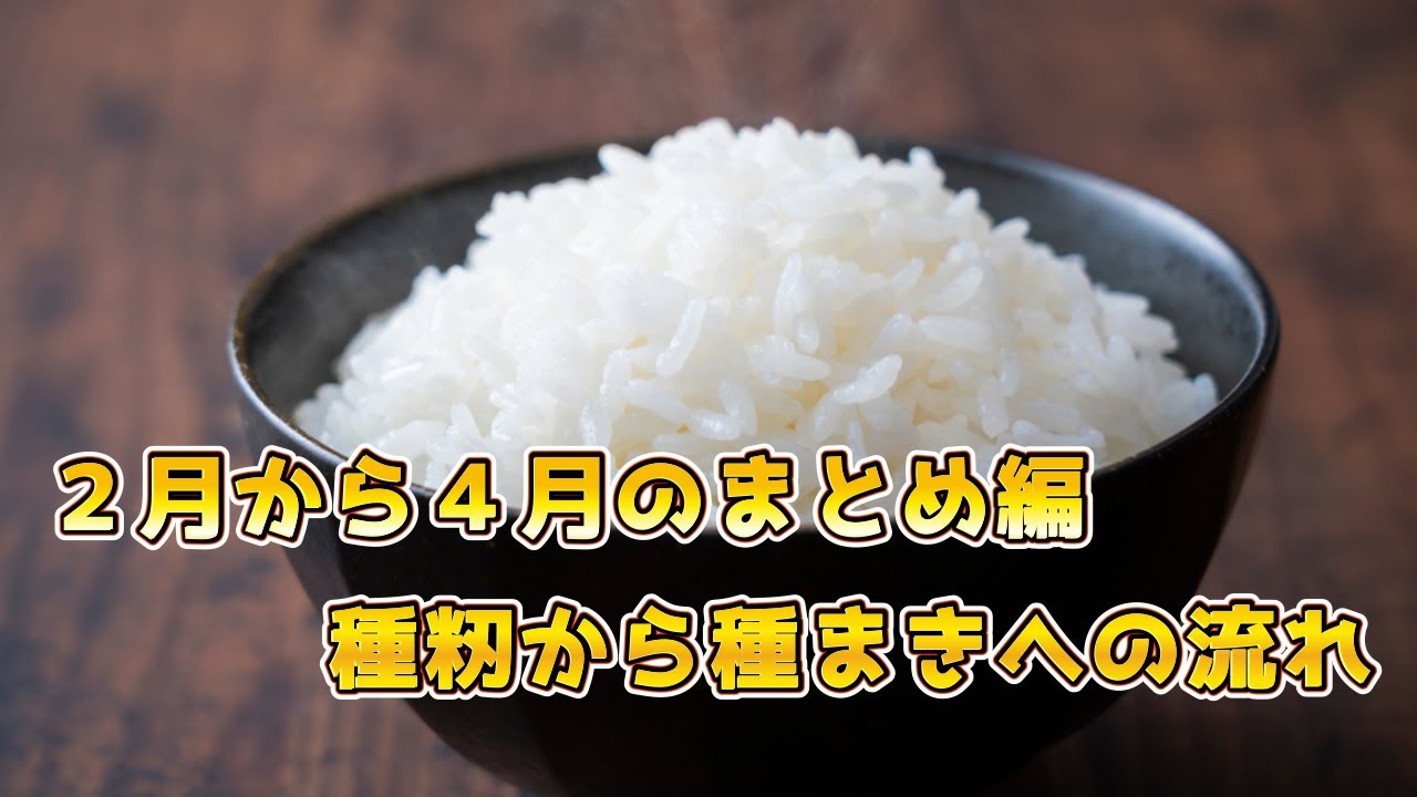 2026年。お米作りとちぎ。初心忘るべからず。①