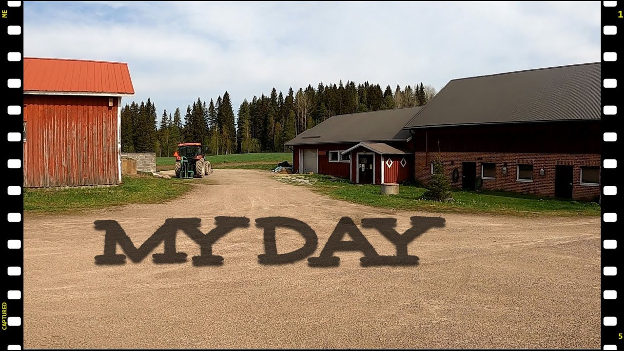 Lypsykarjatilan isännän MY DAY