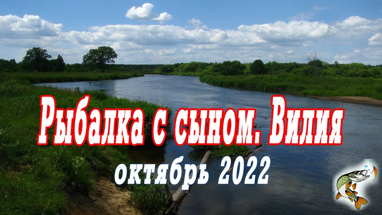 Октябрь, река Вилия, спиннинг, рыбалка с сыном