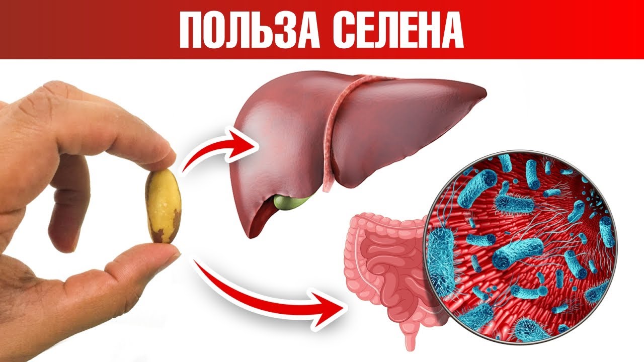 Не допускайте избытка и дефицита селена. Это опасно😲