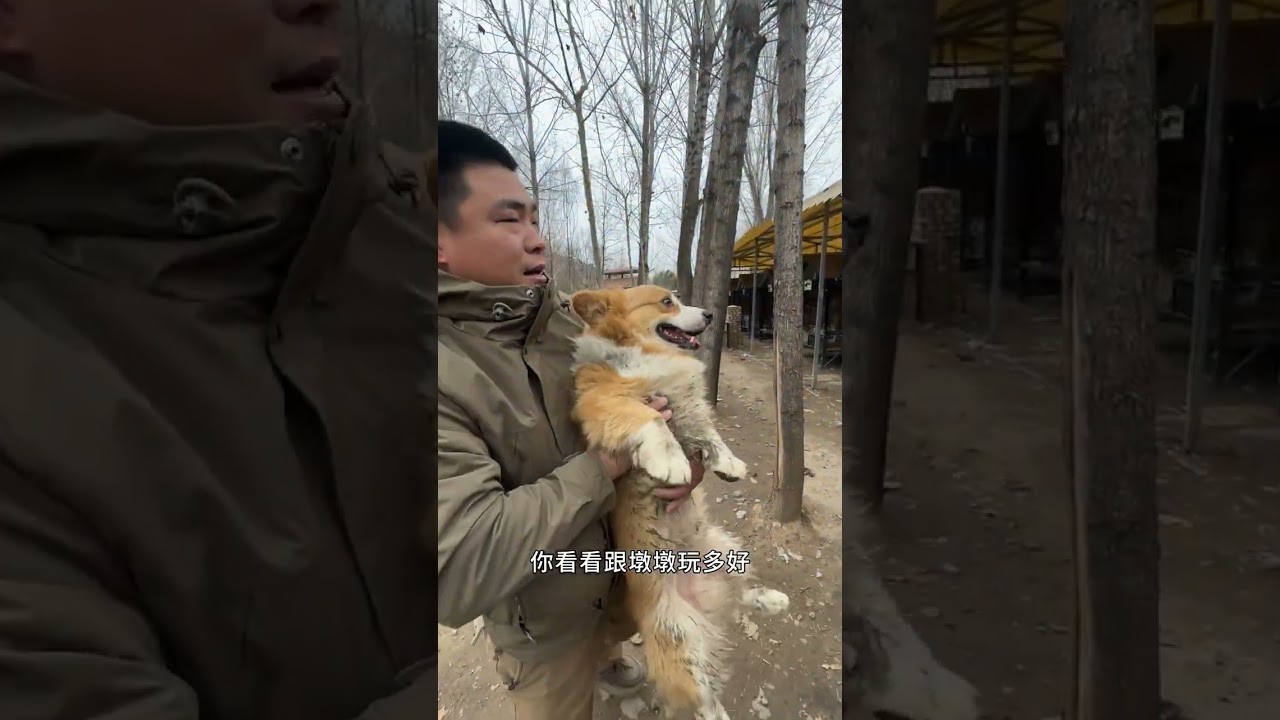 时间地点和情绪都已就绪大招冷却也以完成接受制裁吧 #脑洞大开的心愿清单 #放心借新年惊喜 @放心借