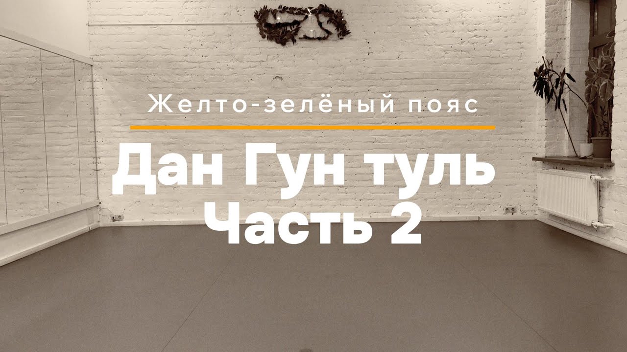 Дан Гун туль. Часть 2 | Отработка дома. Тхэквондо для желто-зеленого пояса